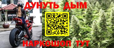 каннабис Аргун