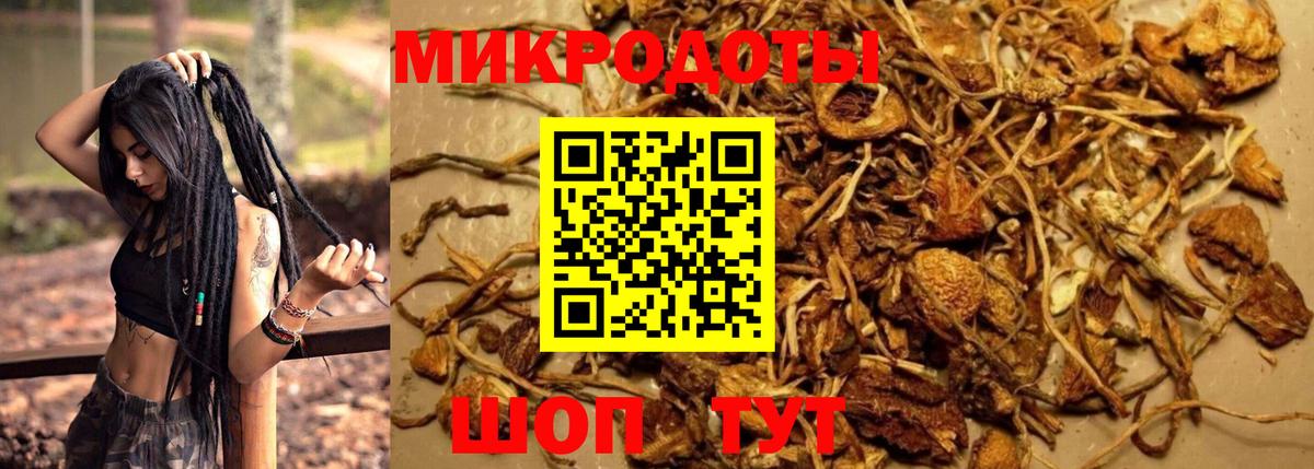 Псилоцибиновые грибы ЛСД Балаково