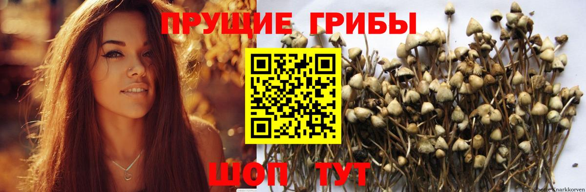 Псилоцибиновые грибы ЛСД  Галлюциногенные грибы прущие грибы  Балаково  Вход с VPN 